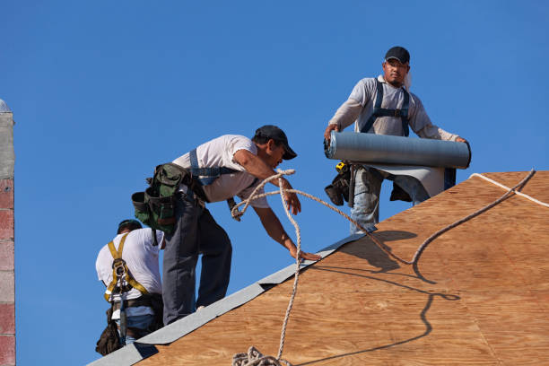 Best Storm Damage Roof Repair  in Walkertown, NC